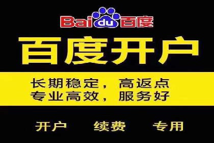 百度推广费用策略在竞争激烈市场的应用案例